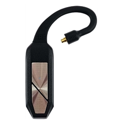 Bluetooth Adapter iFi Go Pod