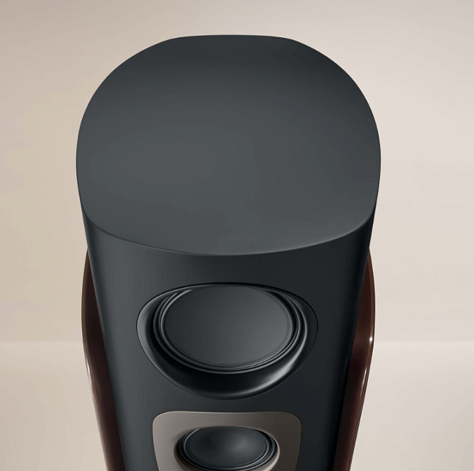 Floorstanding Speakers Canton Reference GS Grey/Walnut (1pc) - img.5