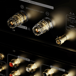 Power Amp Eversolo AMP-F10 Black