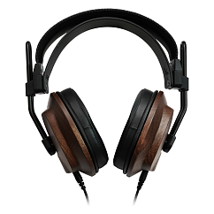 Over-ear headphones Fostex T60RP MK2 Wood