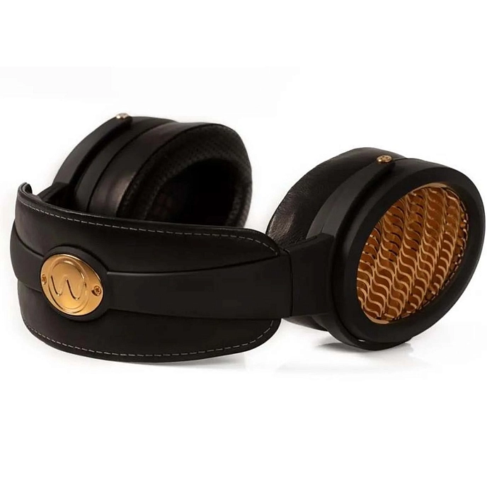 Headphone Amplifiers and DACs Warwick Acoustics Aperio Amplifier Gold - img.13