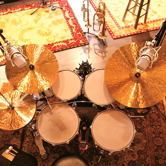 Microphone Shure KSM44A/SL Black - img.4