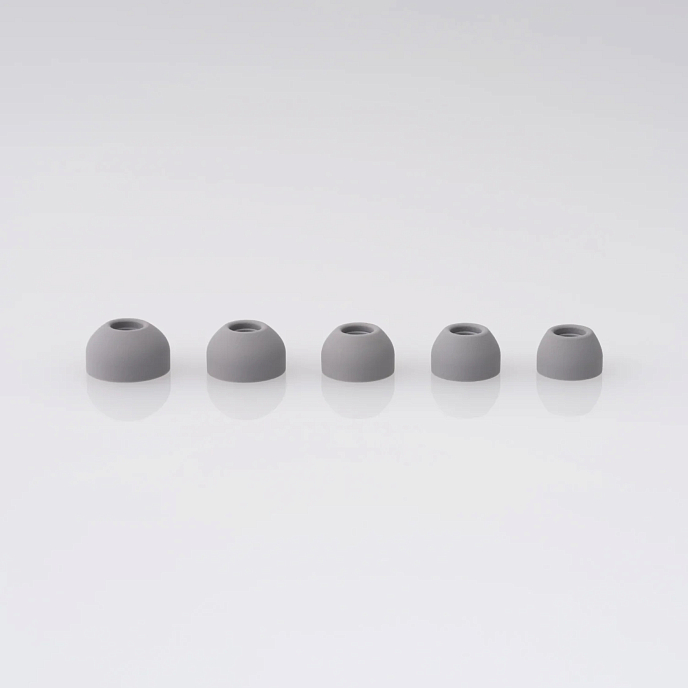 Eartips Final Audio Fusion-G size M 4pcs Gray - img.2