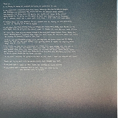 Vinyl Record Maggie Rogers - Heard It In A Past Life LP