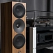 Floorstanding Speakers Amphion Helium520 Walnut - img.5