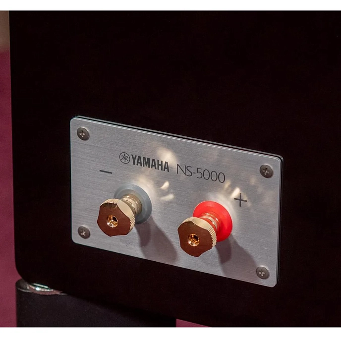 Bookshelf speakers Yamaha NS-5000 Right - img.11