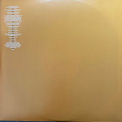 Vinyl Record Bjork - Volta - 2LP