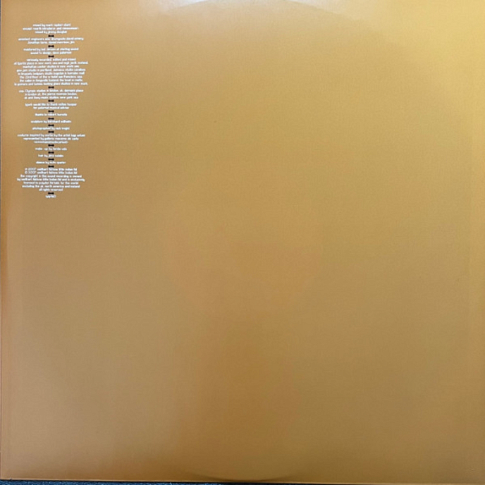 Vinyl Record Bjork - Volta - 2LP - img.1