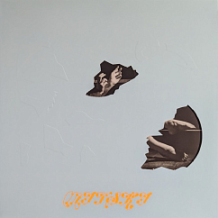 Vinyl Record Mitski – The Land Is Inhospitable And So Are We (Pink Aster Coloured edition) LP