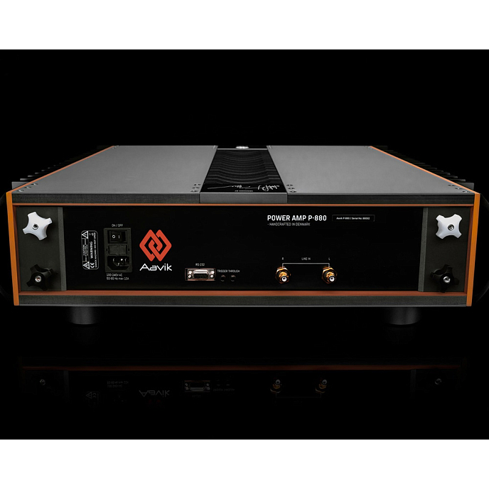 Power Amp Aavik P-880 Black - img.1