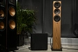 Floorstanding Speakers Amphion Helium520 Walnut - img.8