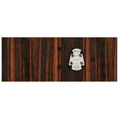 Central Channel Monitor Audio Gold C250 (6G) Macassar