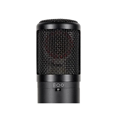 Microphone SE Electronics SE 2300