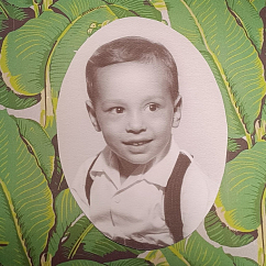 Vinyl Record Sufjan Stevens - Carrie & Lowell - (10th Anniversary Edition, Violet) 2LP