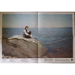 Vinyl Record Mac Demarco - Another One LP
