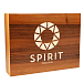 High End headphones Spirit Valkyria - img.7 High End headphones Spirit Valkyria - img.7