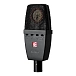 Vocal microphone SE Electronics sE4400 LDC Black - img.1 Vocal microphone SE Electronics sE4400 LDC Black - img.1