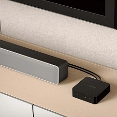 Network Audio Player WiiM Pro