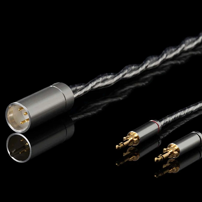 Over-ear headphones Final Audio D8000 Pro Limited Edition Black/Gold - img.6