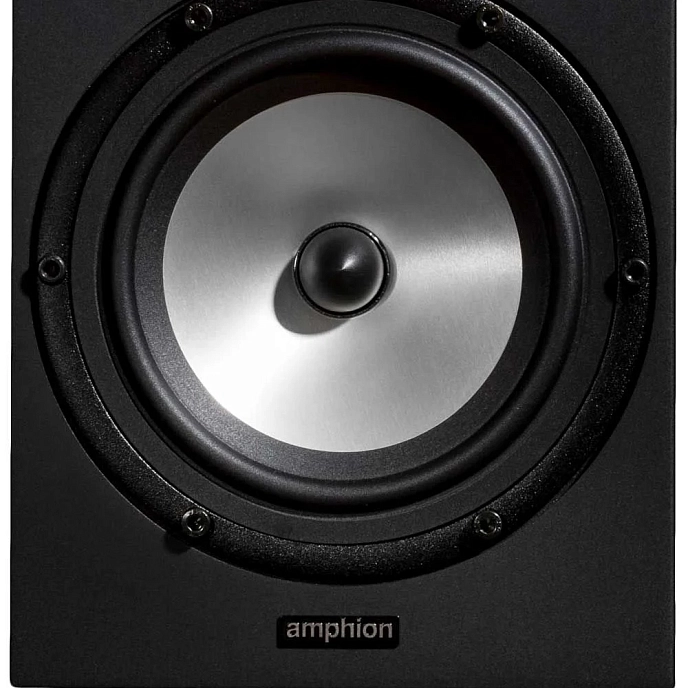 Studio monitor Amphion Two18 Black - img.9
