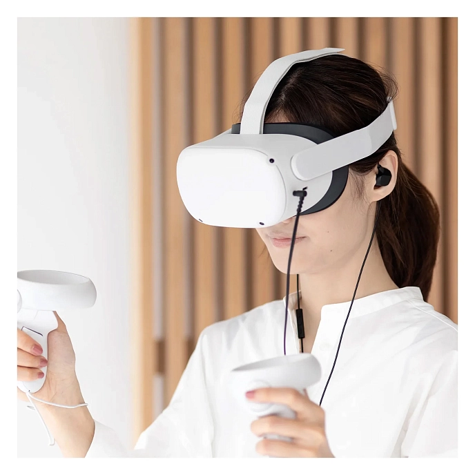 In-ear headphones Final Audio VR3000 with Controller & Mic Black - img.5