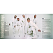 Vinyl Record Backstreet Boys - Millennium 2.0 - 2LP - img.1