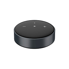 Network Audio Player WiiM Mini