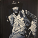 Vinyl Record The Jimi Hendrix Experience - Electric Ladyland - 2LP - img.14 Vinyl Record The Jimi Hendrix Experience - Electric Ladyland - 2LP - img.14