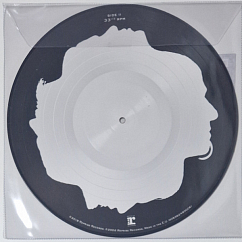 Vinyl Record Disturbed – Believe (Limited Picture Vinyl) LP