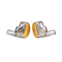 IEMs headphones Aurian Canyon Universal