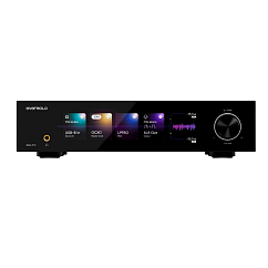 DAC Eversolo DAC- Z10 Black