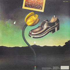 Vinyl Record Nick Drake - Pink Moon LP