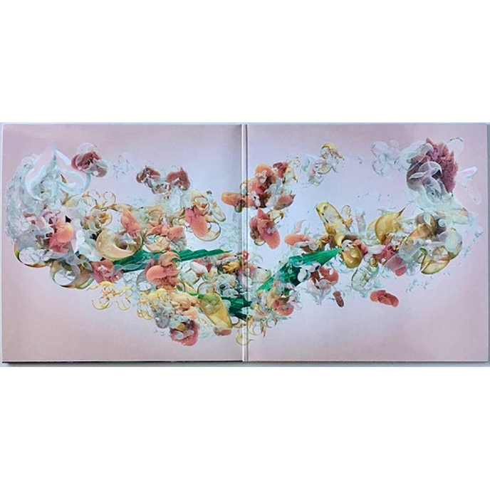 Vinyl Record Bjork - Utopia - 2LP - img.2