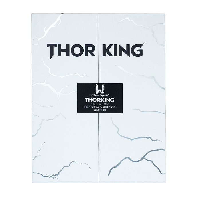 In-ear headphones Kinera ThorKing Matte Silver - img.10