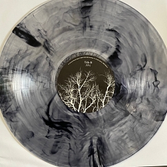 Vinyl Record AFI - Decemberunderground (Transparent Smoke) LP