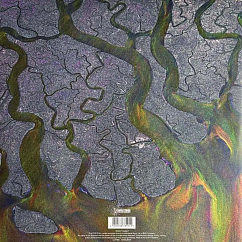 Vinyl Record Alt - J - An Awesome Wave - White - LP