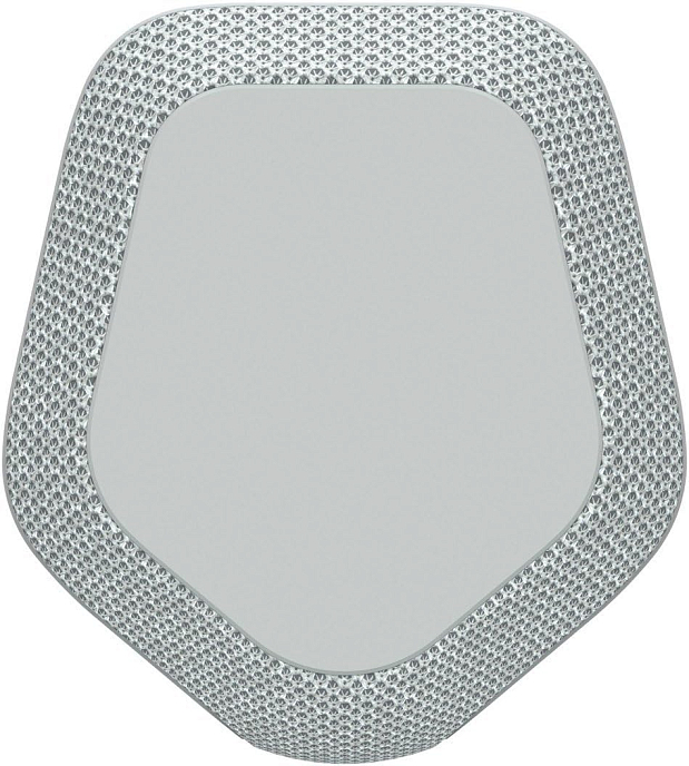 Wireless Speaker Sony SRS-XE300 Light Gray - img.5