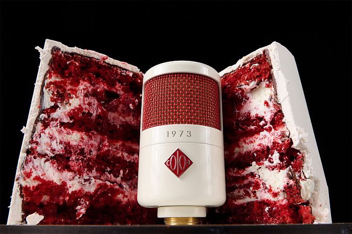 Studio microphone SOYUZ 1973 Deluxe Limited Edition Red Velvet - img.6