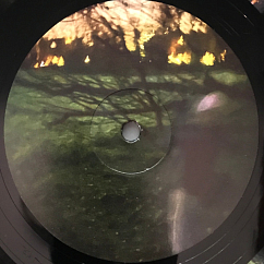 Vinyl Record Fred again.. & Brian Eno – Secret Life LP