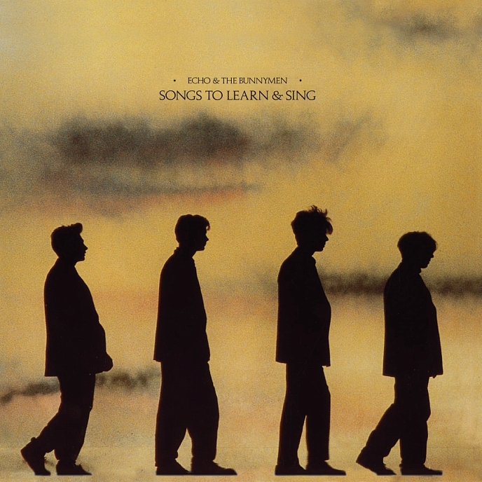 Vinyl Record Echo & The Bunnymen - Songs To Learn & Sing (Yellow & Black Marble) LP - img.0