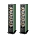 Floorstanding Speakers Focal Aria Evo X N3 Green Moss - img.2