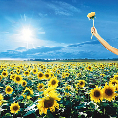 Vinyl Record Stone Temple Pilots - Thank You - 2LP