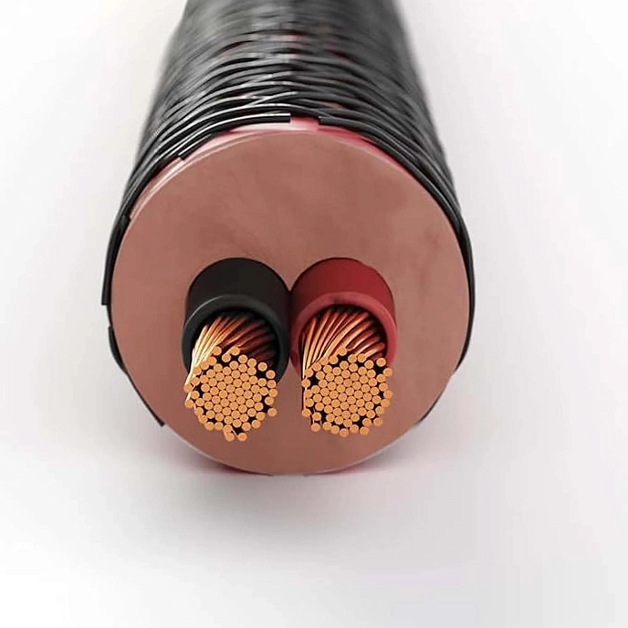 Cable Dali Connect SC RM230C Speaker Cable Banana 2х3m - img.4