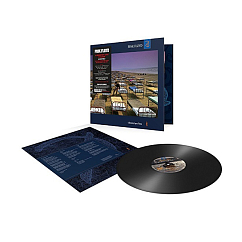 Vinyl Record Pink Floyd - A momentary lapse of reason Vinil