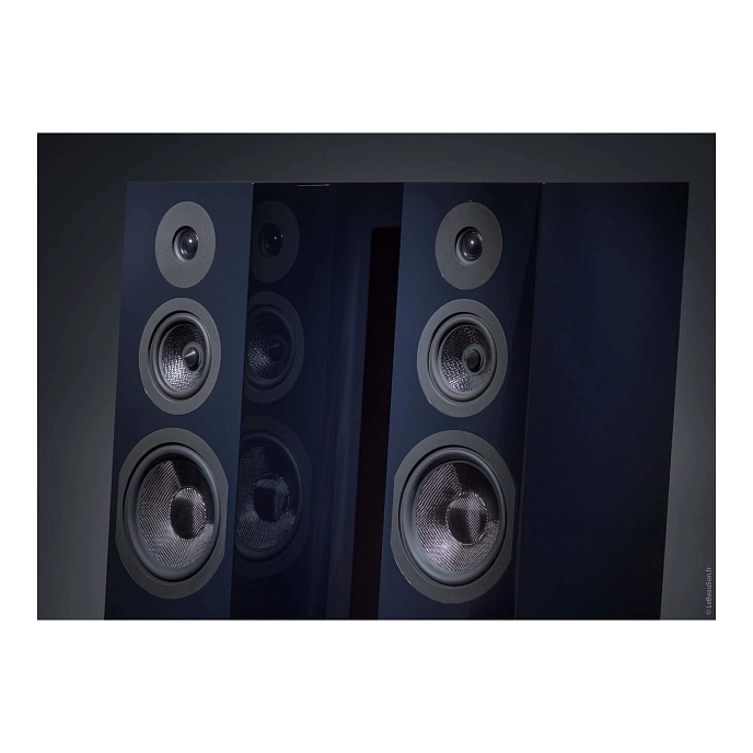 Floorstanding Speakers Davis Acoustics Courbet N 8 High Gloss Blue - img.7