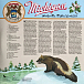 Vinyl Record Sufjan Stevens – Greetings From Michigan The Great Lake State - LP - img.1