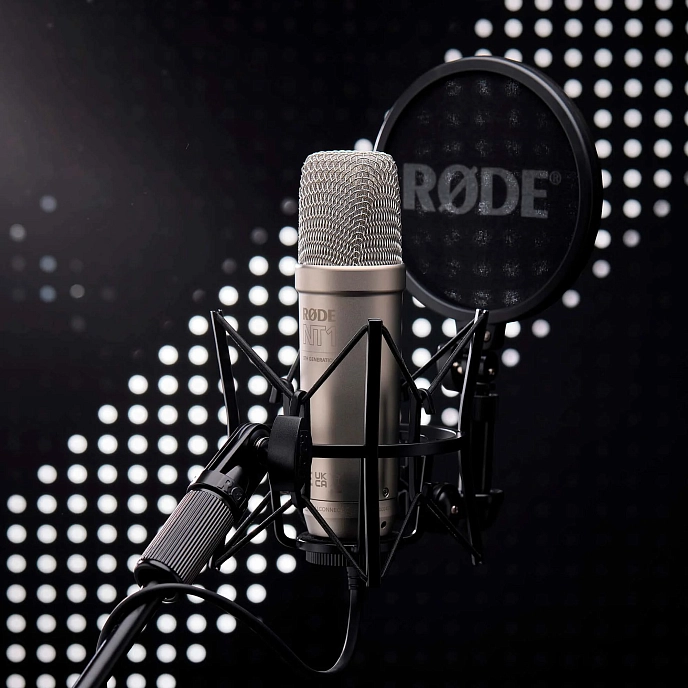 Studio microphone RODE NT1 5th Generation Silver - img.8
