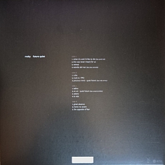 Vinyl Record Moby - Future Quiet (coloured) - 2LP