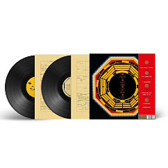 Vinyl Record Blur – The Magic Whip - 2LP