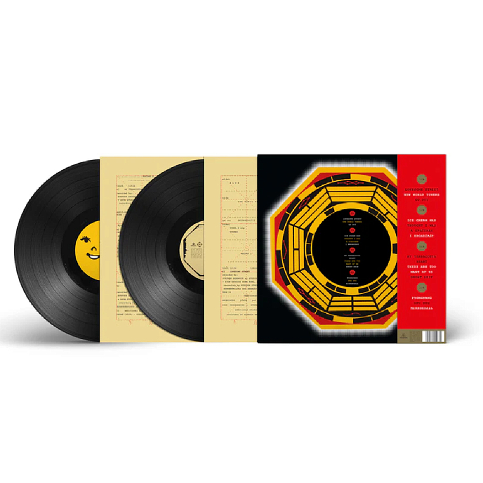 Vinyl Record Blur – The Magic Whip - 2LP - img.3